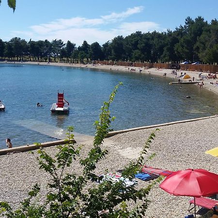 Apartments Daniela Novigrad  Екстер'єр фото