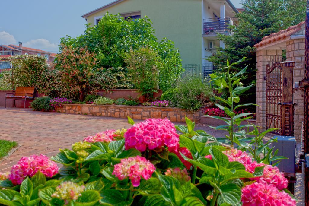 Apartments Daniela Novigrad  Екстер'єр фото
