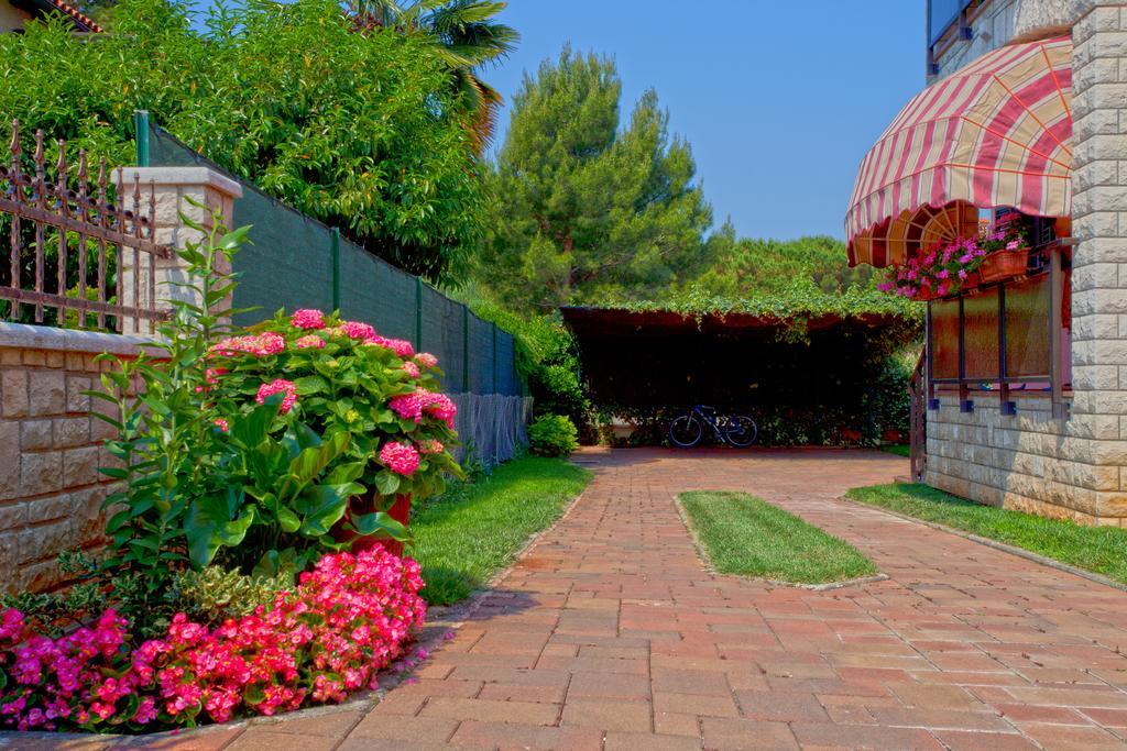 Apartments Daniela Novigrad  Екстер'єр фото