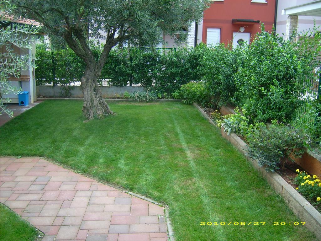Apartments Daniela Novigrad  Екстер'єр фото