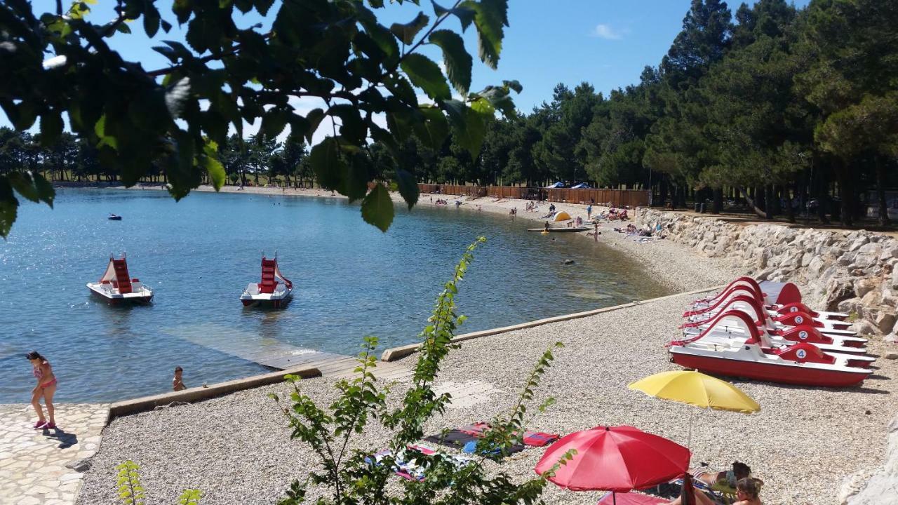 Apartments Daniela Novigrad  Екстер'єр фото